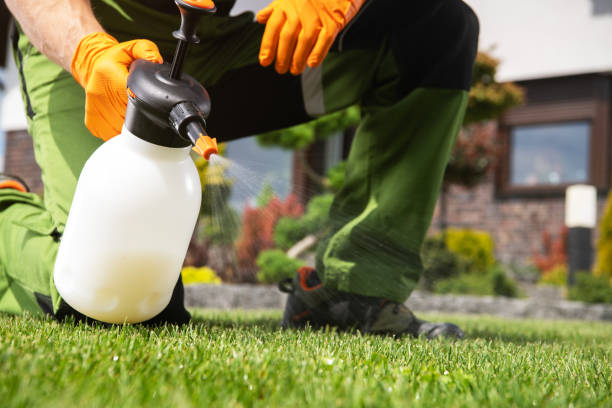 Best Affordable Pest Control Services  in Munford, AL