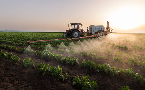Best Pest Removal Services  in Munford, AL
