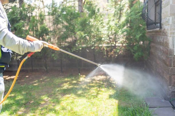 Best Exterminator Services  in Munford, AL
