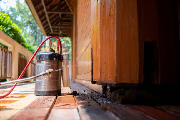 Best Pest Prevention Services  in Munford, AL