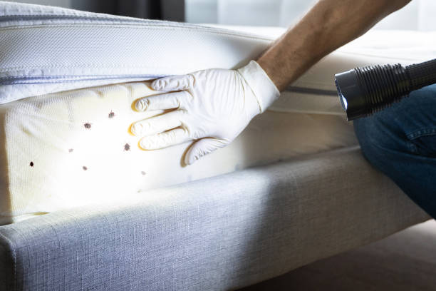 Best Insect Control  in Munford, AL