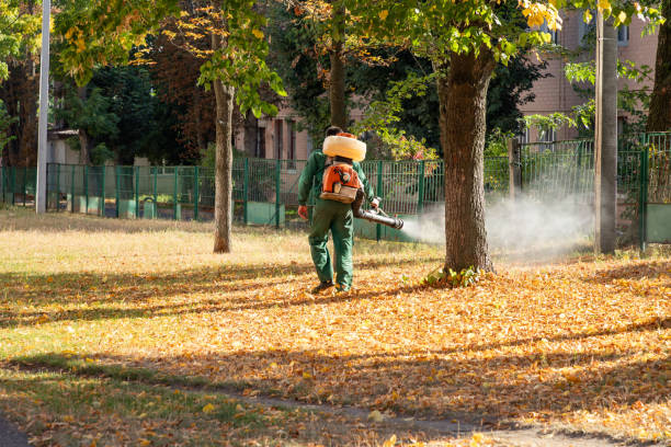 Best Best Pest Control Companies  in Munford, AL