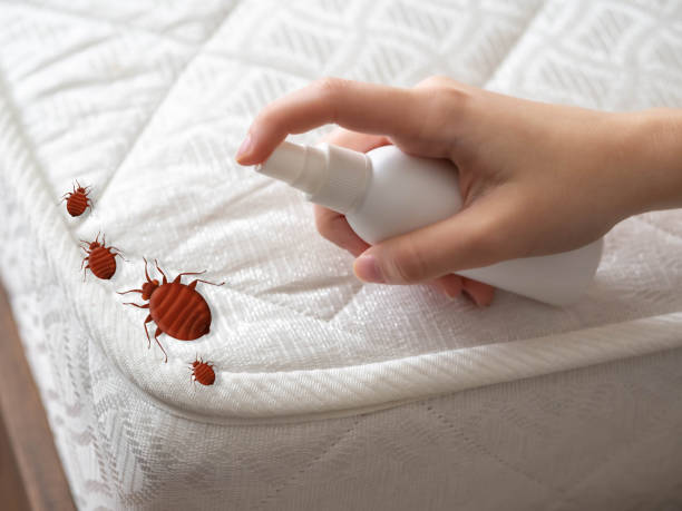 Best Commercial Pest Control Services  in Munford, AL