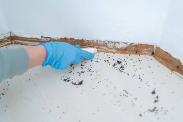 Best Pest Control Near Me  in Munford, AL