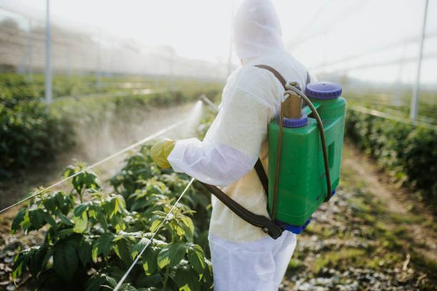 Best Wasp Removal Services  in Munford, AL